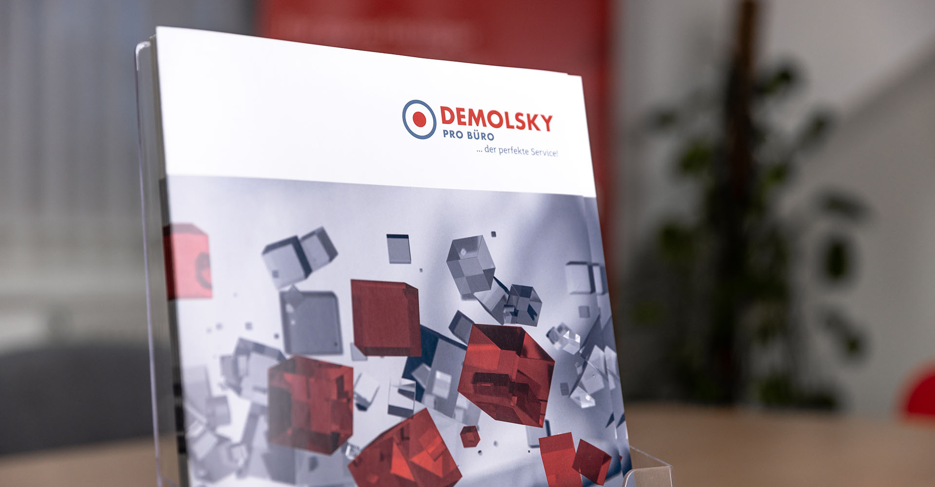 Demolsky_Slider_4